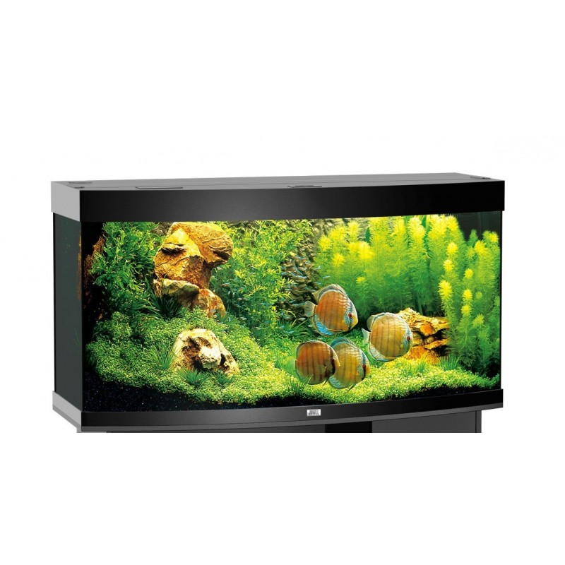 Aquarium Juwel Vision 260 Couleur Noir - LED