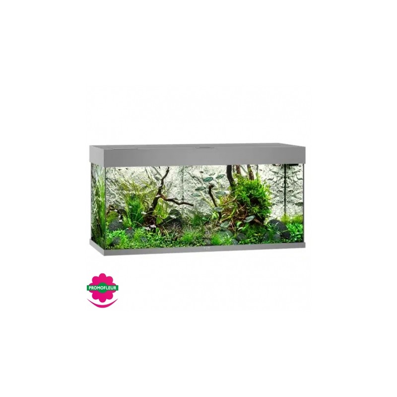 Aquarium Juwel : son installation pas à pas