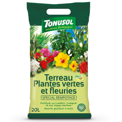 Terreau Plantes vertes et...