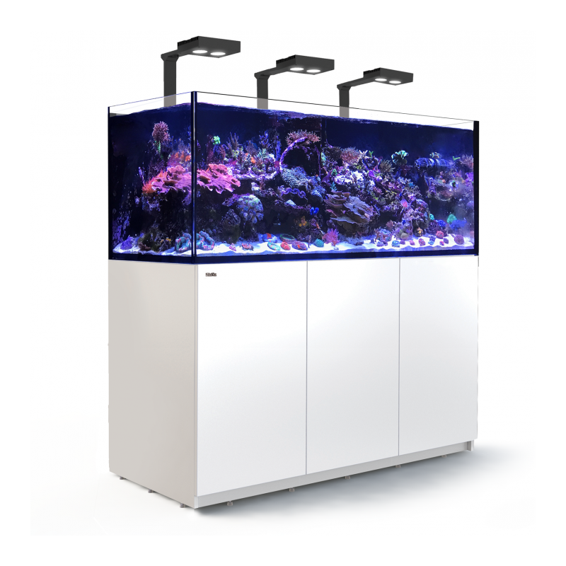 Acheter aquarium complet 840l eau de mer